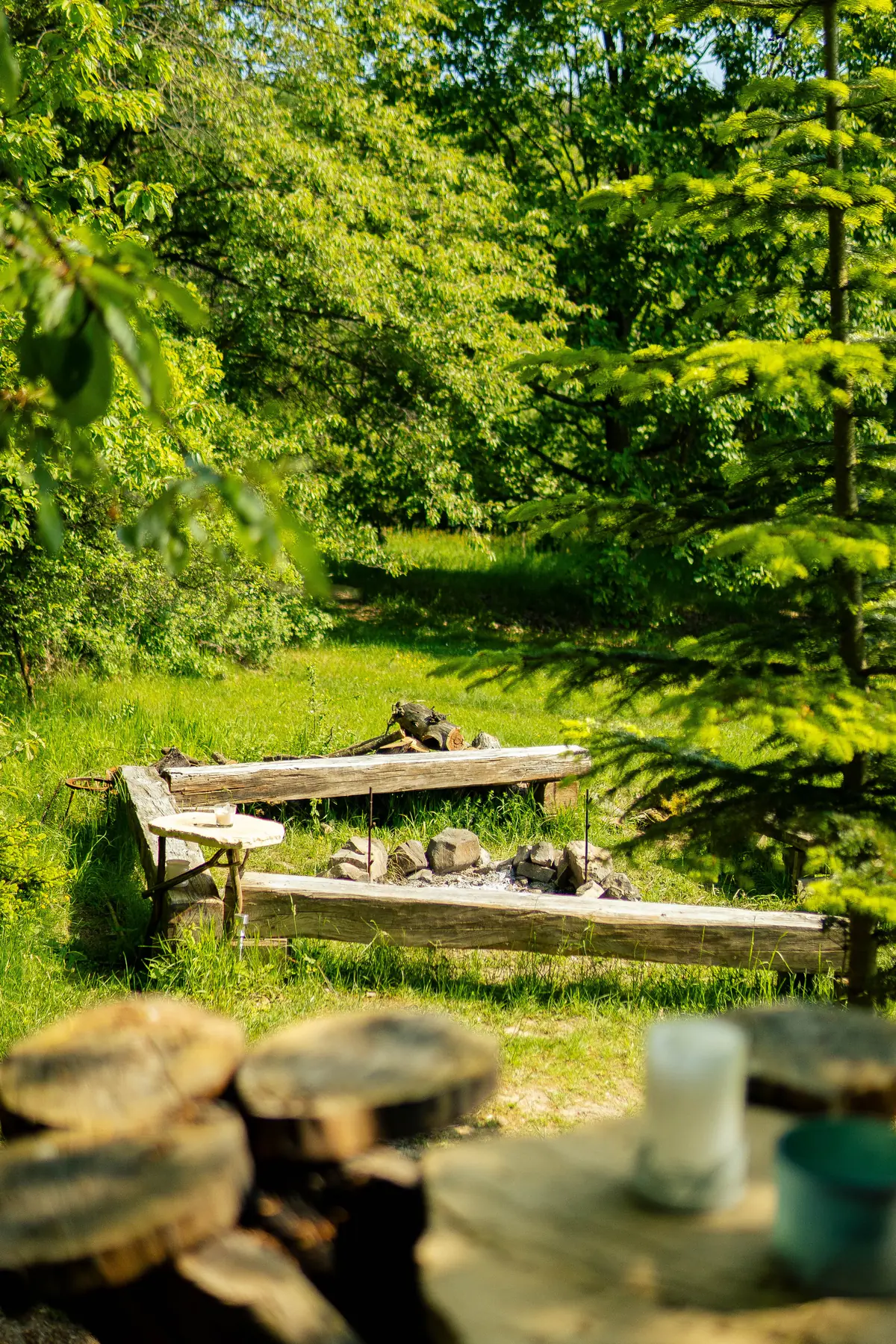 Fire pit and bench