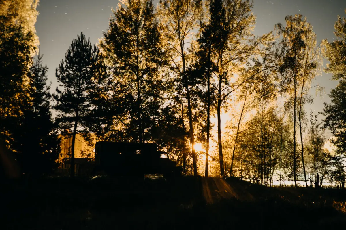 Cabin and sauna at dusk