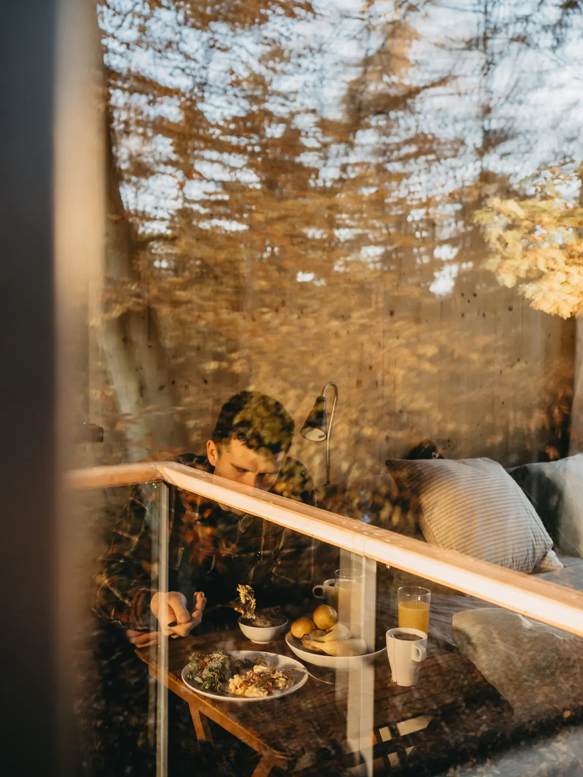 Window with a view