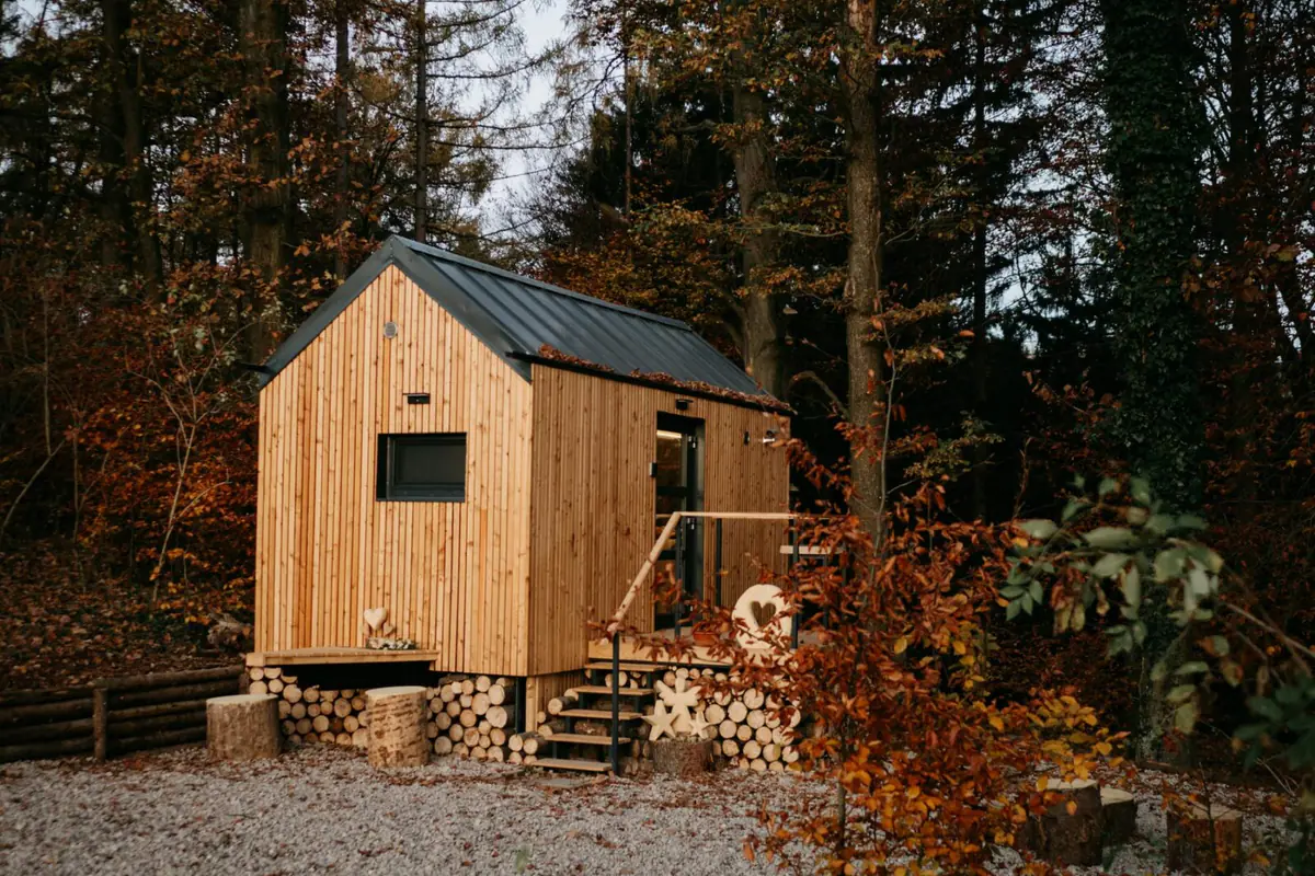 Glamping among autumn trees