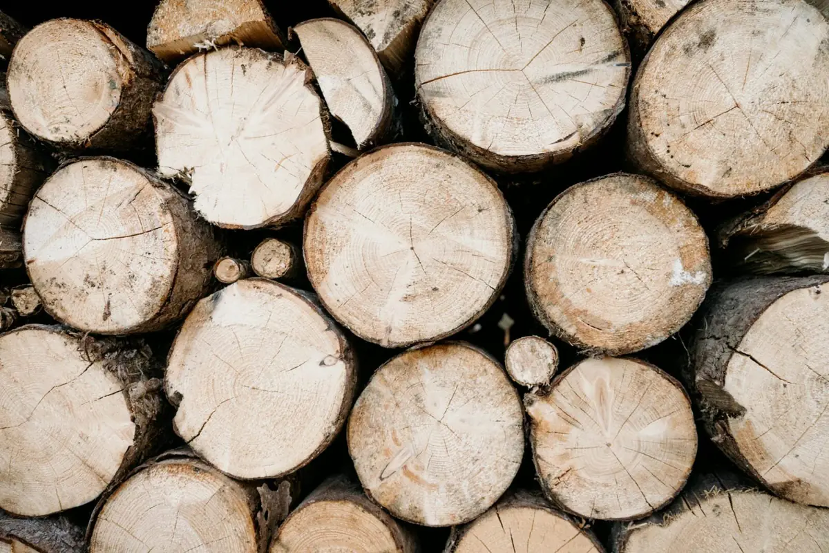 Stacked split firewood