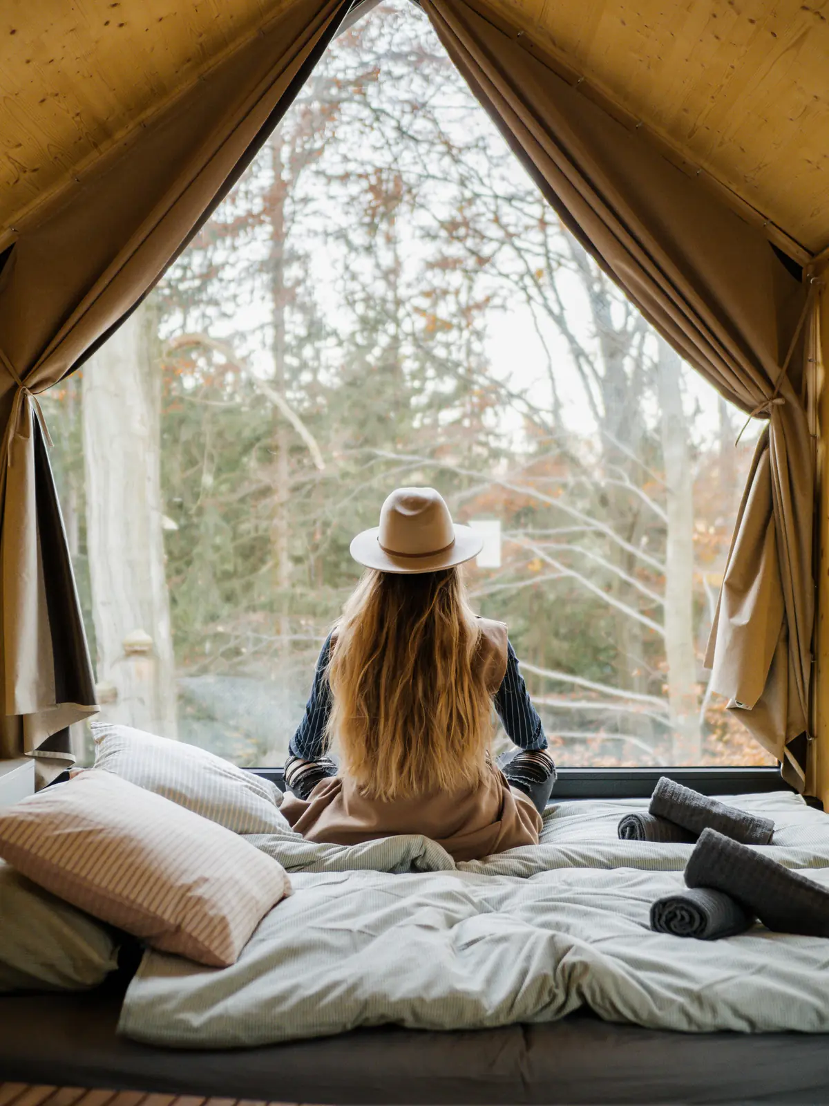 View from the bed through the window into the forest